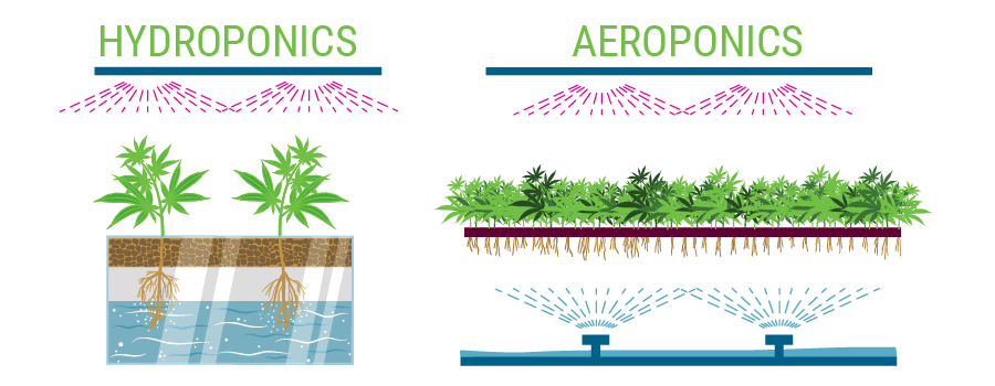 Which One Is Better For Growing Cannabis Hydroponics Or Soil